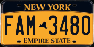 NY license plate FAM3480