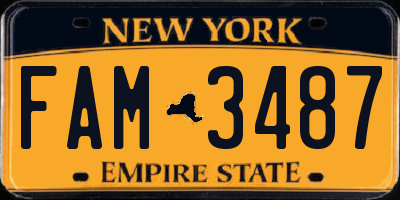 NY license plate FAM3487