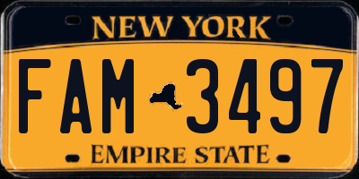 NY license plate FAM3497