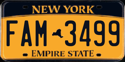 NY license plate FAM3499