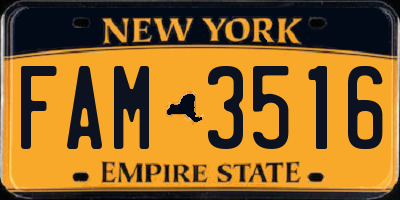 NY license plate FAM3516