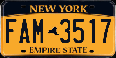 NY license plate FAM3517