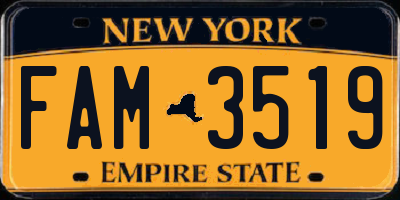 NY license plate FAM3519