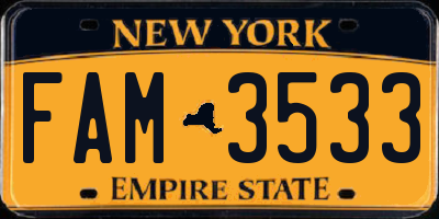 NY license plate FAM3533