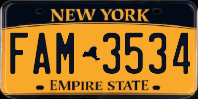 NY license plate FAM3534