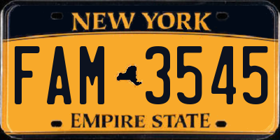 NY license plate FAM3545