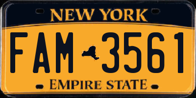 NY license plate FAM3561