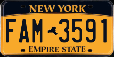 NY license plate FAM3591
