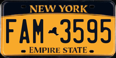 NY license plate FAM3595