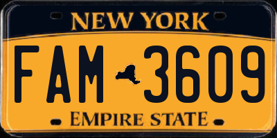 NY license plate FAM3609