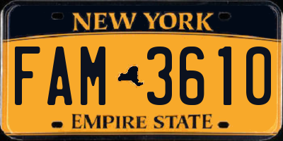 NY license plate FAM3610
