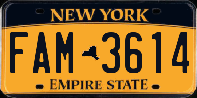 NY license plate FAM3614