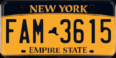 NY license plate FAM3615