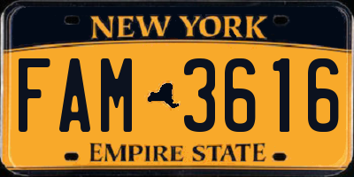 NY license plate FAM3616