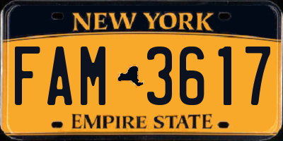 NY license plate FAM3617