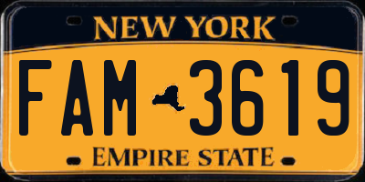 NY license plate FAM3619