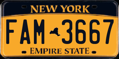 NY license plate FAM3667