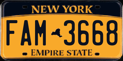NY license plate FAM3668