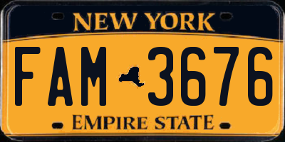NY license plate FAM3676