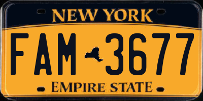 NY license plate FAM3677
