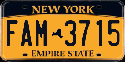 NY license plate FAM3715