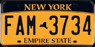 NY license plate FAM3734