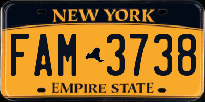NY license plate FAM3738