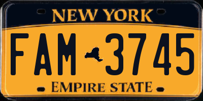 NY license plate FAM3745