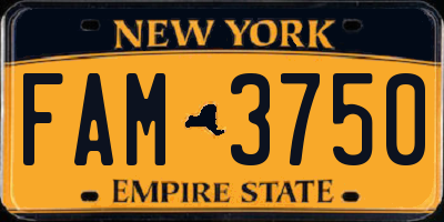 NY license plate FAM3750