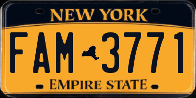 NY license plate FAM3771