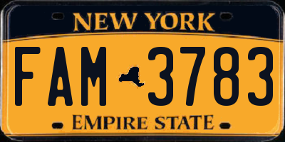 NY license plate FAM3783
