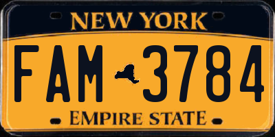 NY license plate FAM3784
