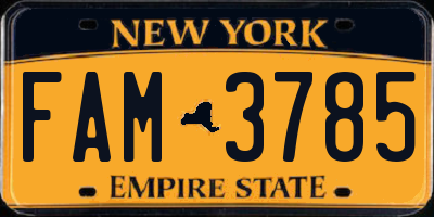 NY license plate FAM3785