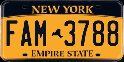 NY license plate FAM3788