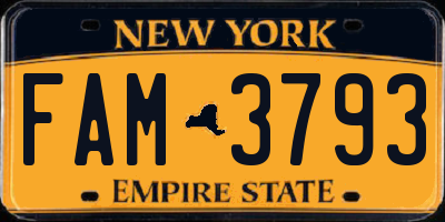 NY license plate FAM3793