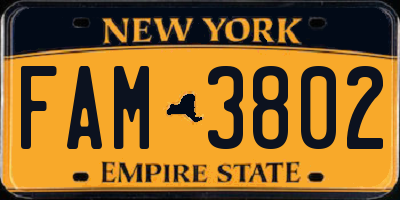 NY license plate FAM3802