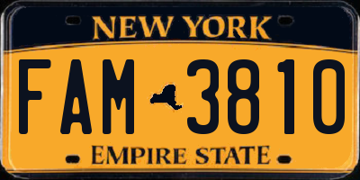NY license plate FAM3810