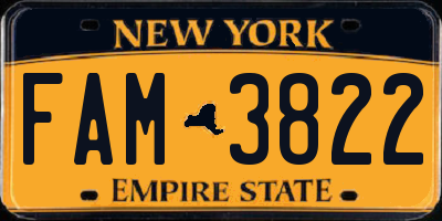 NY license plate FAM3822