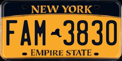 NY license plate FAM3830