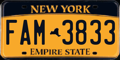 NY license plate FAM3833