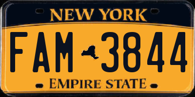 NY license plate FAM3844