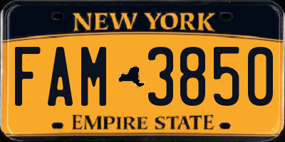NY license plate FAM3850