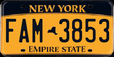 NY license plate FAM3853