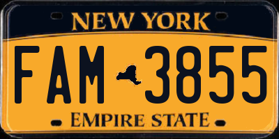 NY license plate FAM3855