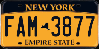 NY license plate FAM3877
