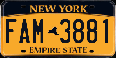 NY license plate FAM3881
