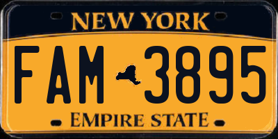 NY license plate FAM3895
