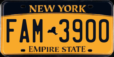 NY license plate FAM3900