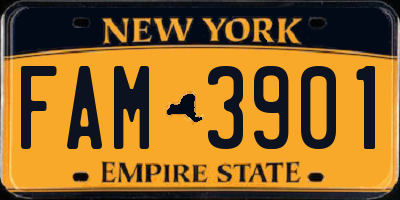 NY license plate FAM3901