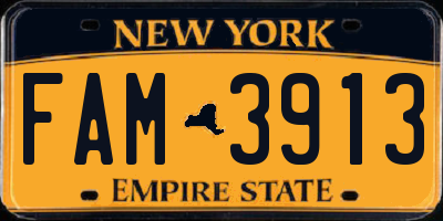NY license plate FAM3913